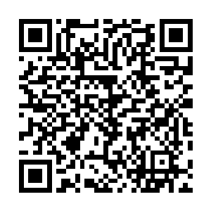 随时都面临着被蛟神殿和天灵殿两大殿主吞噬元神的威胁二维码生成