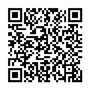 随机黑压压一片密密麻麻的蝙蝠朝着敞开的窗户飞了进来二维码生成