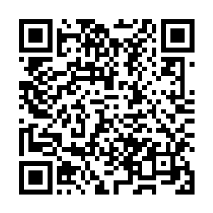 随着一辆辆在普通人眼中早已算是极尽豪华的撵车到来二维码生成