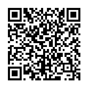 随着一颗散发着七彩光芒的药丹从百木鼎的鼎口中缓缓升起……二维码生成