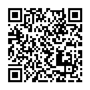 随着两颗幸运的手榴弹在前方持盾战士的背上爆炸二维码生成