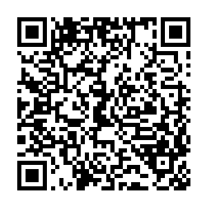 随着令人热血沸腾的背景音乐渐渐变成大战即将展开前的压抑狂想曲二维码生成