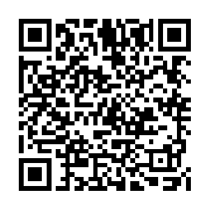 随着众人一并而来的忘川见里面的人不是凤羽珩二维码生成