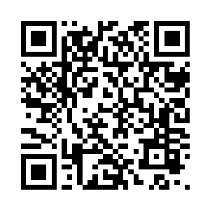 随着别样红的指尖尽数进入他的识海二维码生成