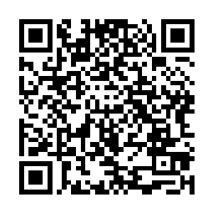 随着在瑞士蒙特勒的第3届蒙特勒爵士乐音乐节的演出结束二维码生成