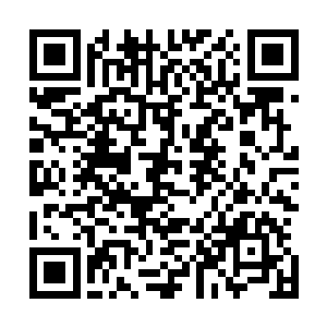随着急促的呼吸微微颤颤哪有一点儿瀛州宣慰使的威风煞气二维码生成