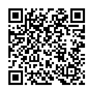 随着我精神力诱导那半黑半白珠子与指端形成关联状态二维码生成