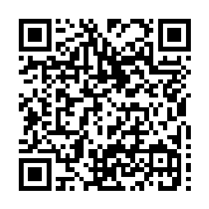 随着攻击侵入自己体内的魔气肆意在经脉和血肉内游走破坏二维码生成