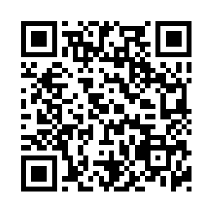 随着最后一个法家读书人的文胆碎裂声结束二维码生成