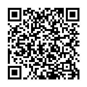 随着此刻的咆哮之声这金色王座竟然在空中停止了下来二维码生成