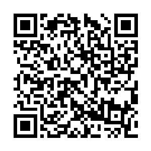 随着爱好者人群的成熟化和新玩具系列的接连推出二维码生成