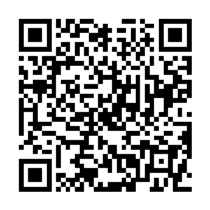 随着玄黄剑决的运转化作纯粹的武力进入叶尘经脉之中二维码生成