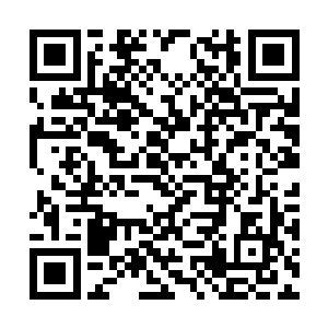 随着第一个绿水珠被吞下鲭鱼的变化也跟着开始了二维码生成