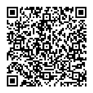 随着箭光消逝　风清扬也是呼啸着自天穹而落　双手掐印　似乎要趁热打铁般　将大巫圣子置于死地二维码生成