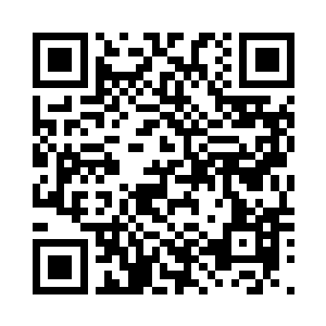 随着苏凡的拳头砸在两人的手臂之上二维码生成