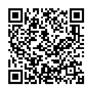 随着许琴扬前往海巧星的两万仙舟生生地损失了五千余艘二维码生成