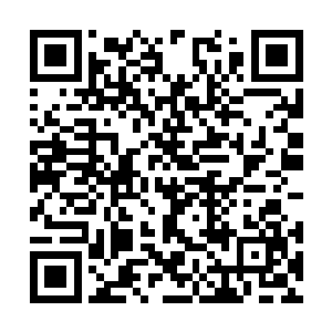 随着赵虎将数千套三级文明的外骨骼战甲发放下去二维码生成