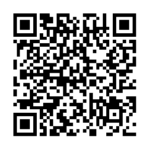 随着跟着龙战一起回来的族人挑起了护卫和打猎的任务二维码生成