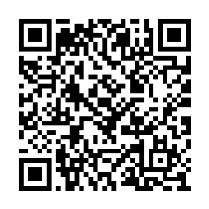 随着那一股新力量的涌现而渐渐的变得强盛起来二维码生成