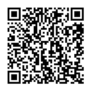 随着防护罩的升起周围的灵气也十分迅速的朝着这个地方汇集过来二维码生成