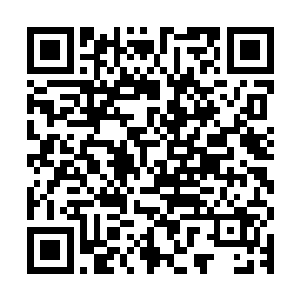 随着龙傲天一声轻喝顿时以主峰为中心顿时升起了一个淡淡的蓝二维码生成