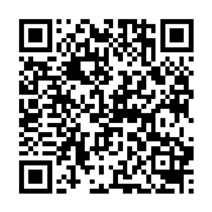 随着1991年华沙条约组织在布拉格的会议中宣布解散二维码生成