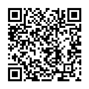 随行的十几人也立刻亮出刀枪挡在了苗毅四周戒备二维码生成