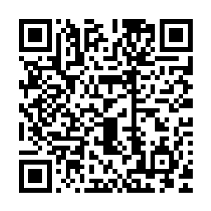 随随便便的就把全家人的性命交到别人的手里这种事情我会做二维码生成