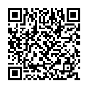 随随便便遇见的一个人竟然都有人神后期的修为二维码生成