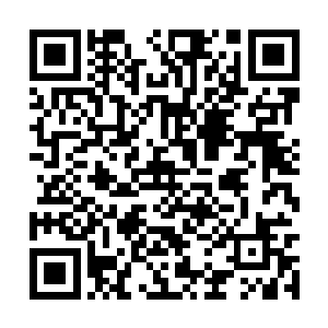 隐世超级家族的两个修士加上九个一流家族的修士二维码生成