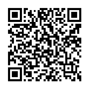 隐居于富士山……本来他是寻求恢复实力的方法二维码生成