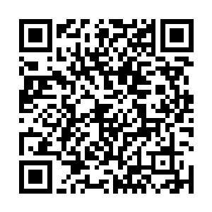 隐居的圣殿骑士和神恩游侠都走出森林参与守卫军之中二维码生成