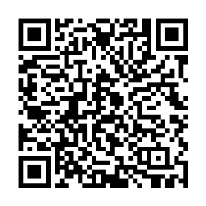 隐晦的看了一眼坐在不远处的茱莉亚音乐学院的院长二维码生成