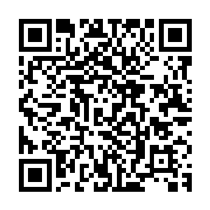 隐约可以看到一根几乎已经完全看不到小黄瓜条在无力的晃动着二维码生成