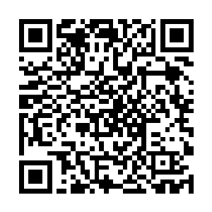 隐约有开辟出一条全新的修炼巫师之路的办法的势头二维码生成