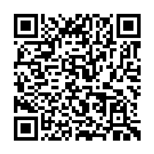 隐约看见了镇海门方向那道冲天而起的血脉之光二维码生成