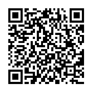 隐约觉得这个陆天风可能并不像是表面上这么风光的二维码生成