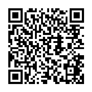 隐约间可以看见一只只魔兽在茂密的丛林中飞速的奔跑追赶猎物二维码生成