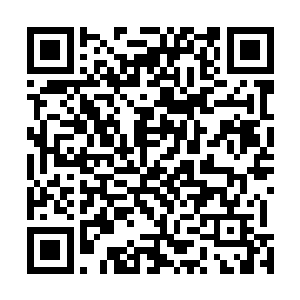 隐约间放佛能听见一声声充满不甘的虎啸声在天地间咆哮二维码生成