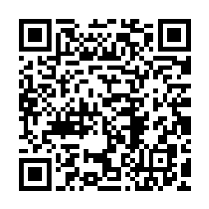 隐藏于茂密的树叶后面了……但是他那一双眼睛却是没有闲着的二维码生成