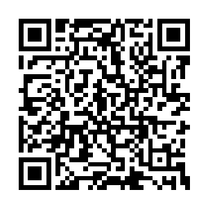 隐藏在人群中的郑晓水看到弟弟被炸得粉身碎骨二维码生成