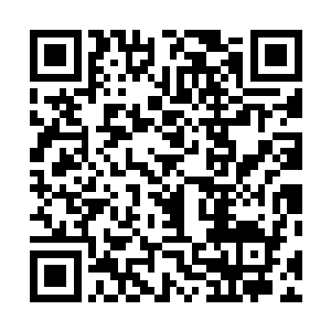 隐藏在身体内的风雷羽翼也无时无刻不在被真元滋润炼化二维码生成