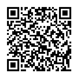 隐藏在这里的穆锋白扛下了周围大阵的镇守工作二维码生成