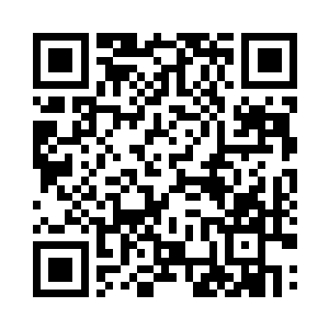 隐藏的坚毅脸庞倒映流萤和海洋的光芒二维码生成