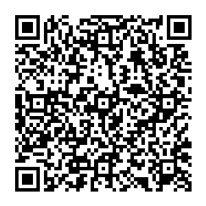 隐藏的好好的锐利的爪子・・・・・・果然是令众多野兽都不敢招惹的平原上的王者――雪狼二维码生成