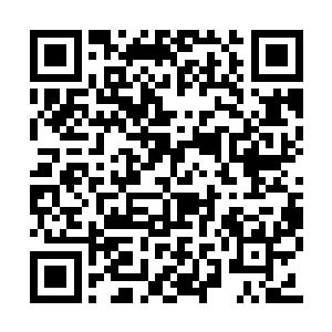 隐身状态下的林烽并没有马上就对他们两个动手二维码生成