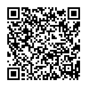 隐隐传来张铁那三个儿子和张铁老哥的几个儿子在花园之中打闹的声音二维码生成