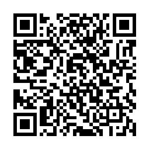 隐隐可以见到几个破碎的书架与上面众多散架的书籍二维码生成