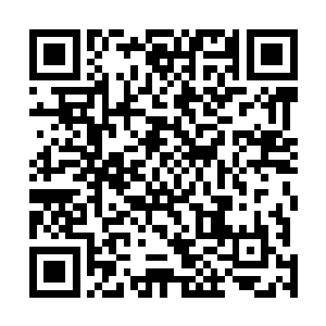 隐隐已经成为了整个神界之中的年轻一代的领头羊的存在二维码生成