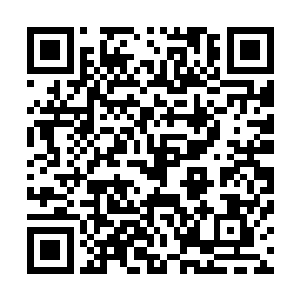 隐隐感知到了帝国现行制度存在的一系列僵化和腐朽的问题二维码生成